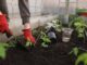 Self-sufficiency Tips For Beginners