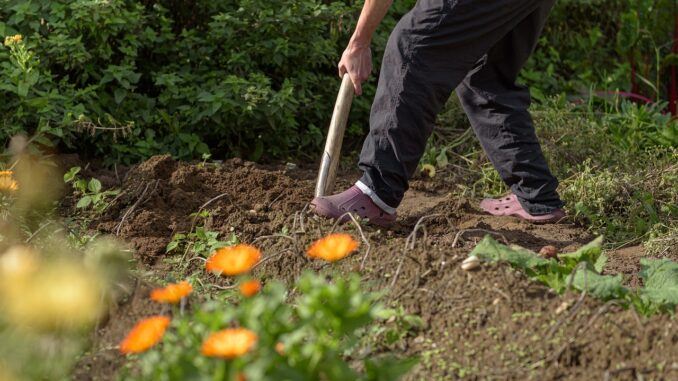 DIY Homestead and Survival Project Ideas