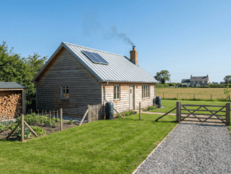 DIY Self-Sufficiency for Beginners