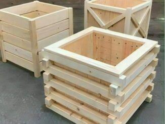 Outdoor Wood Projects for Beginners