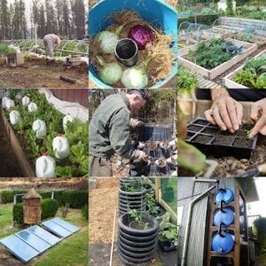 Self-Sufficient Tips for Beginners