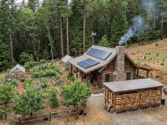 Self-Sufficiency Projects