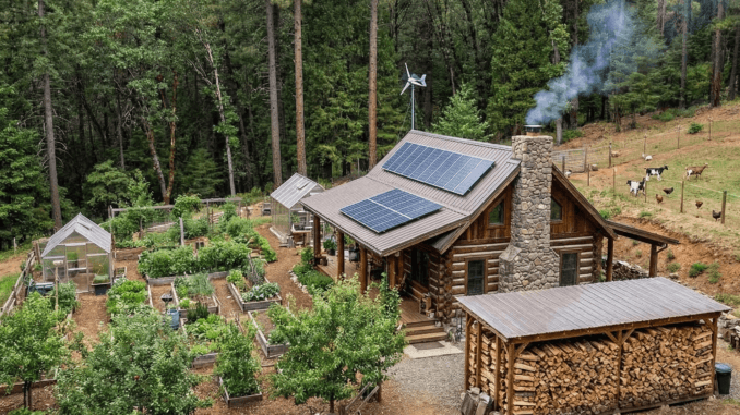 Self-Sufficiency Projects