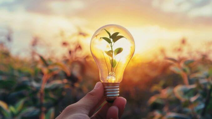 Energy Saving Tips for Self-sufficient Living